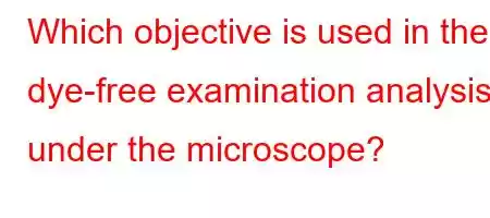 Which objective is used in the dye-free examination analysis under the microscope?