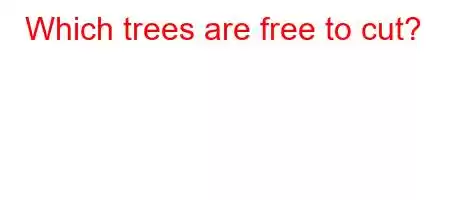 Which trees are free to cut?