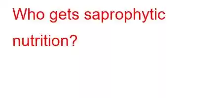 Who gets saprophytic nutrition?