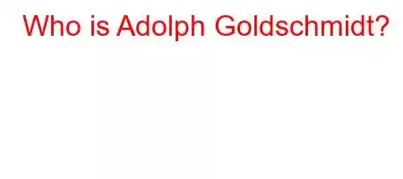 Who is Adolph Goldschmidt?