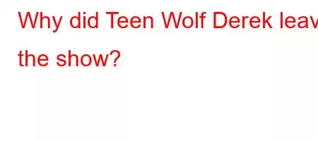 Why did Teen Wolf Derek leave the show