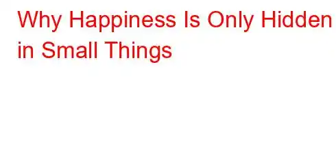 Why Happiness Is Only Hidden in Small Things